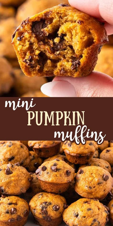 Pumpkin Bread Mini Muffins, Cinnamon Spice Pumpkin Mini Muffins, Skinnytaste Mini Pumpkin Chocolate Chip Muffins, Pumpkin Oat Mini Muffins, Mini Fall Desserts Treats, Muffin Recipes Mini, Pumpkin Muffins Mini, Mini Muffins Breakfast, Healthy Mini Pumpkin Muffins