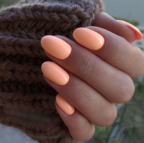 Neutral Nails Tan Skin, Summertime Nails Colors, Summer Tan Nails, Popular Summer Nail Colors 2023, Summer Nails Tan Skin, One Color Summer Nails, Orange Peach Nails, Light Summer Nails, Summer Mani Pedi Combos