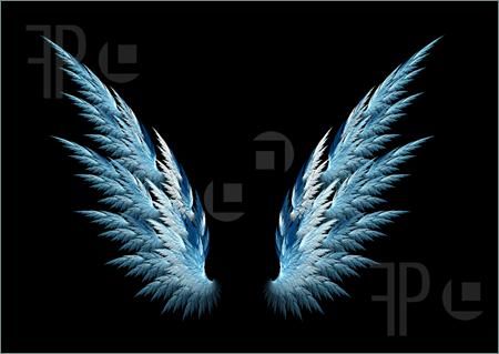 Blue angel wings Ice Wings, Angel Wings Images, Angel Wings Pictures, 222 Meaning, Blue Angel Wings, Fallen Angel Wings, Fantasy Wings, Wings Inspiration, Colour Tattoo For Women