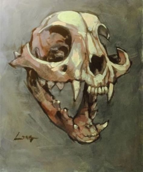 Animal Skull Drawing, Dog Skull, Skull Reference, Animal Skeletons, Cat Skull, Skull Painting, Skull Drawing, Animal Skulls, Daily Paintworks