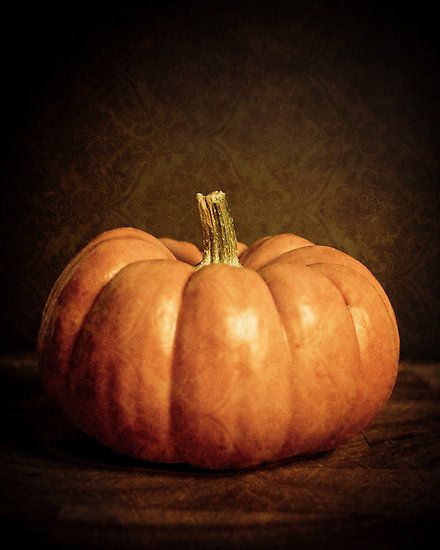 "Pumpkin - Fine Art Photography" by Erin Reynolds Pumpkin Art Reference, Still Life Pumpkin Photography, Pumpkin Still Life Photography, Fall Still Life Photography, Pumpkin Reference Photo, Fall Pumpkins Photography, Pumpkin Reference, Still Life Pumpkin, Pumpkin Still Life