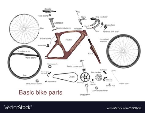 Bike Names, Bicycle Drawing, Mountain Bike Parts, Beach Cruiser Bicycle, Beach Cruiser Bikes, Bicycle Gear, Lowrider Bike, Cycling Quotes, Bicycle Storage