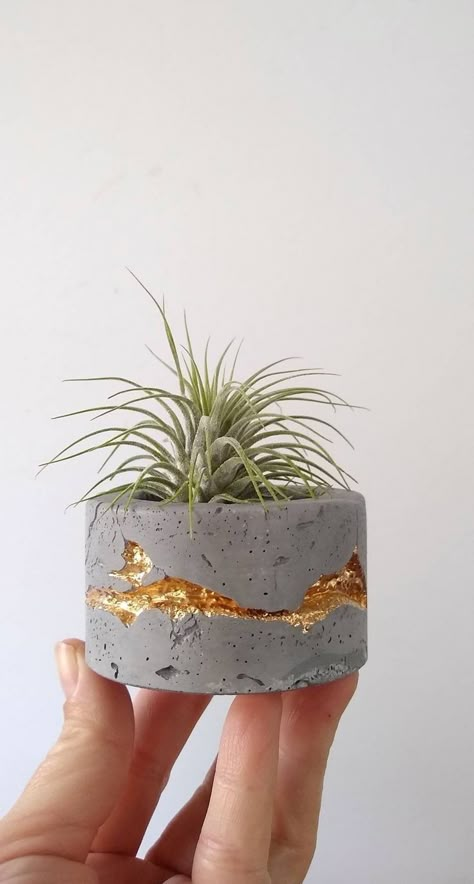 Cement Projects, Diy Concrete Planters, نباتات منزلية, Cement Diy, Concrete Diy Projects, Cement Art, Cactus Planter, Concrete Ideas, Garden Decor Diy