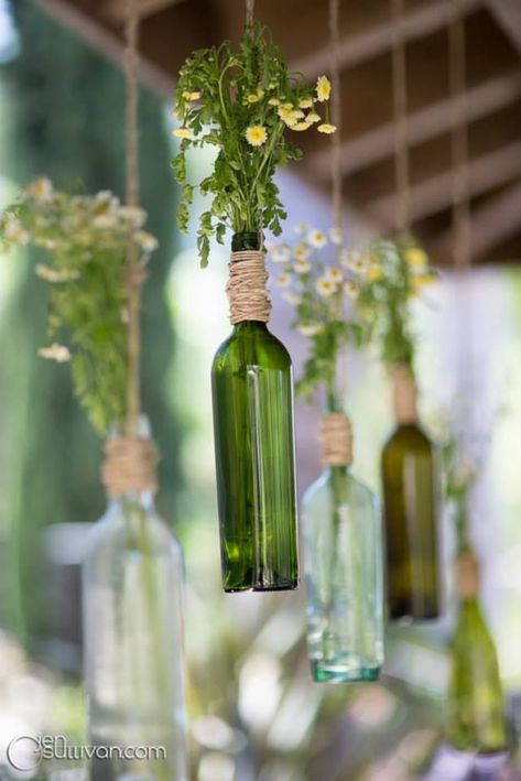 Hanging Wine Bottles, Hanging Bud Vases, Beer Bottle Decor, Hanging Bottles, Glass Drinking Bottles, Jungle Plants, Bottle Tree, Hanging Vases, Cafe Shop Design