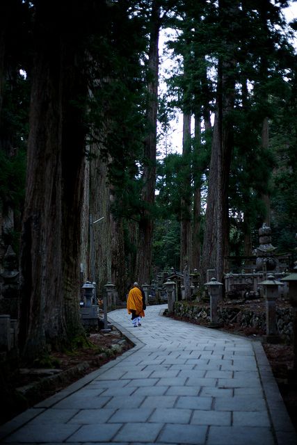 Monk walking in Okuno-in cemetery -  Koya San, Japan by Alex_Saurel, via Flickr Wakayama, Fantasy Places, Japanese Culture, Photo Inspo, Japan Travel, Wabi Sabi, Beautiful World, Cemetery, Wonders Of The World