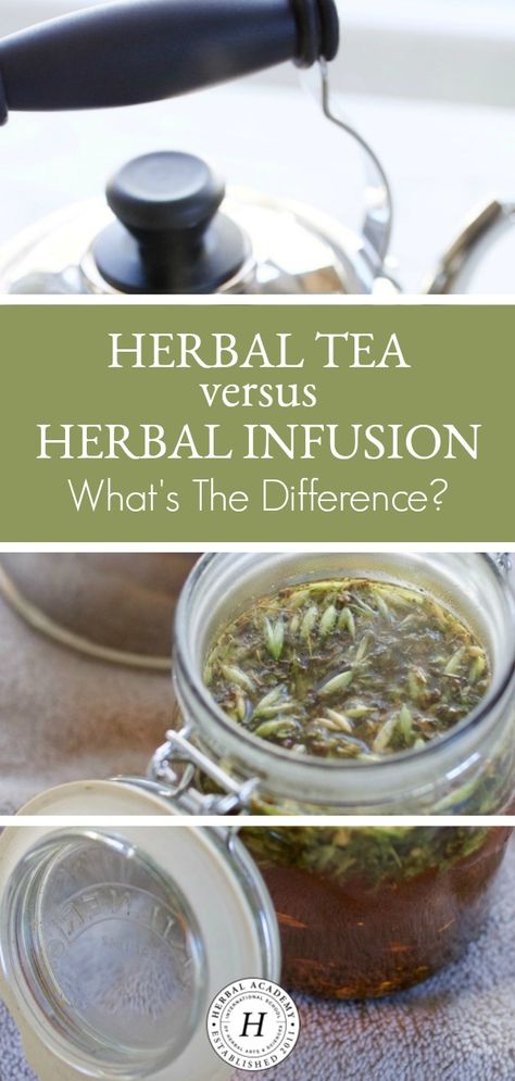 Herbal Tea or Herbal Infusion: What's the Difference? | Herbal Academy | When should you use an herbal tea or herbal infusion? What's the difference? While the two are mostly similar, there are a couple of differences to note. Herbal Tea Photography, Herbal Tea Recipes Homemade, Teas Recipes, Herbal Tea Garden, Herbal Academy, Herbal Tea Benefits, Herbal Teas Recipes, Herbal Tea Blends, Healthy Teas