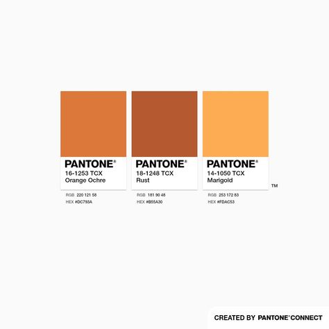 Orange Ochre, Rust & Marigold