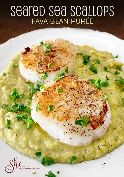 Seared Sea Scallops, Bean Puree, Roasted Cauliflower Steaks, Fava Bean, Coconut Chia Pudding, Meat Dish, Culinary Techniques, Sea Scallops, Cauliflower Steaks