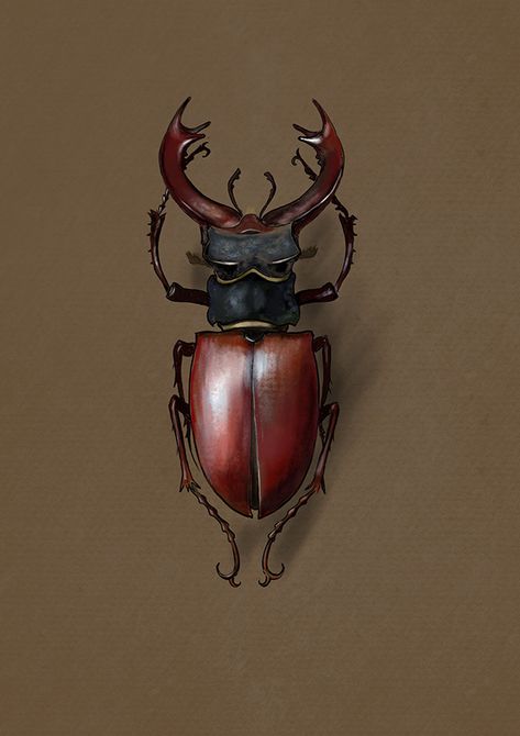 Lucanus cervus on Behance Lucanus Cervus, Handmade Leather Work, Steampunk Art, Leather Work, Beauty Photography, Handmade Leather, Samurai Gear, Leather Handmade, Digital Painting