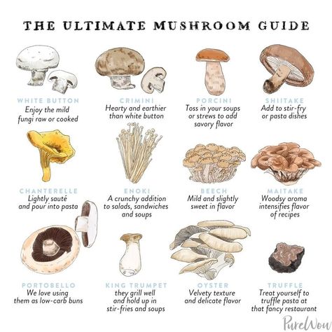 Types Of Mushrooms Cooking, Types Of Edible Mushrooms, Mushroom Types, Mushroom Guide, White Button Mushrooms, Tempeh Recipes, Mushroom Dish, Button Mushroom, Edible Mushrooms