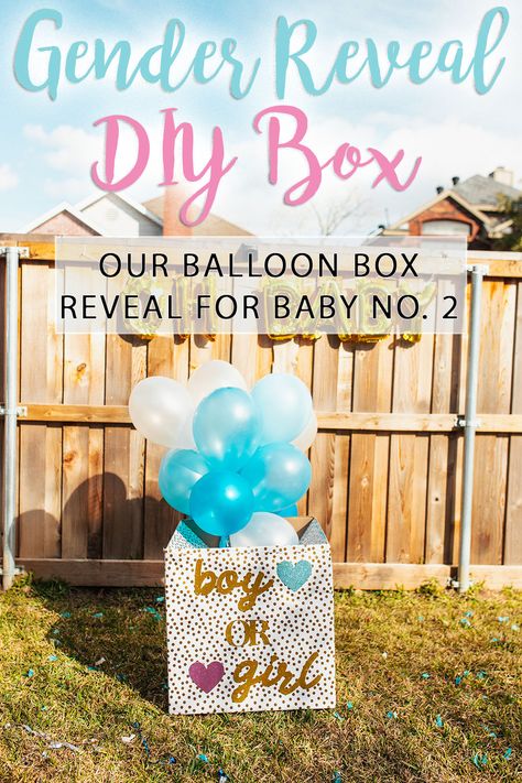 Balloon Box Gender Reveal Diy, Ballon Box Gender Reveal, Balloon Gender Reveal Ideas Boxes, Diy Gender Reveal Box Balloons, Gender Reveal Balloon Box Ideas, Gender Reveal Box Ideas Diy, Box Gender Reveal Ideas, Gender Reveal Box Of Balloons, Gender Reveal Ideas Balloons