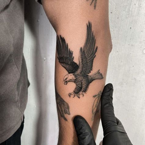 Eagle Tattoo Arm, Small Eagle Tattoo, Falcon Tattoo, Masculine Tattoos, Small Forearm Tattoos, Cool Forearm Tattoos, Eagle Tattoos, Eagle Tattoo, Hand Tattoos For Guys