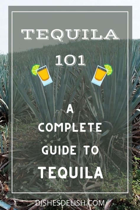 In this tequila 101 guide, we’ll take a deep dive into the history of the spirit, how it’s made, the different types of tequila, and my top recommendations for brands to keep in your home bar. Types Of Tequila, Tequila Types, Best Tequila Brands, Dark Liquor, Blue Agave Plant, Double Chin Exercises, Tequila Tasting, Chin Exercises, Patron Tequila