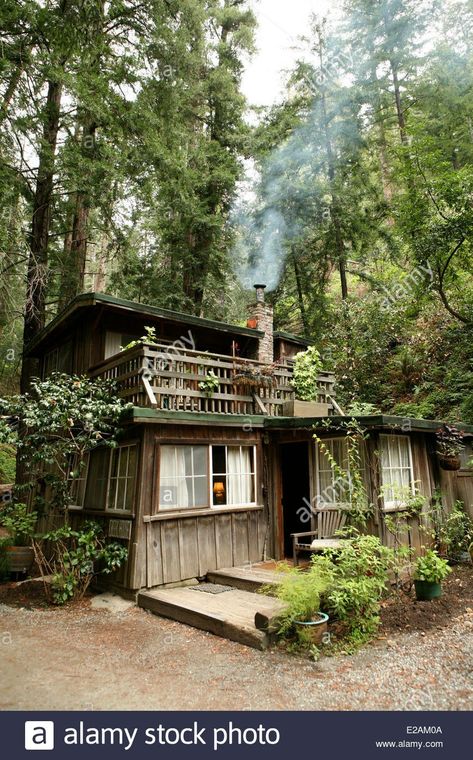 Big Sur House, Architecture Courtyard, Log Home Plan, Little Cabin In The Woods, Pallet House, House On Stilts, Hippie Homes, Bohemian House, Getaway Cabins