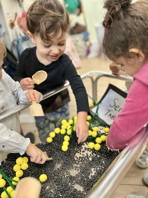 Sukkot Provocations, Reggio Sukkot, Sukkot Crafts Preschool, Sukkot Preschool, Yom Kippur Crafts, Sukkot Activities, Lulav And Etrog, Sukkot Crafts, Jewish Preschool