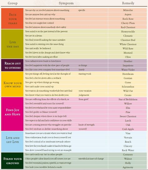 Flower Power – #Biol4095 Applied Plant Ecology Class Blog Bach Flower Remedies Chart, Rescue Remedy Bach Flower, Medicinal Plants Names And Pictures, Herbal Energetics Chart, Rock Rose Bach Flower, Flower Medicine, Bach Remedies, Apothecary Garden, Flower Essences Remedies