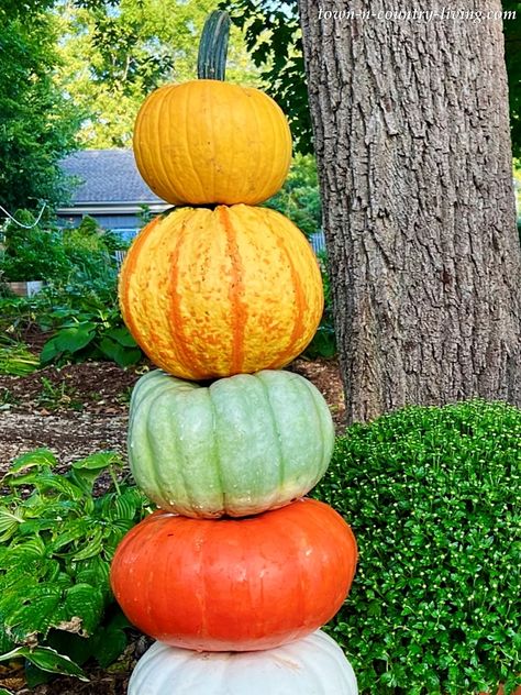 How to Make a Whimsical Outdoor Pumpkin Tower Pumpkin Tower Planter, Pumpkin Tower Diy, Pumpkin Tower, Stacked Pumpkin Topiary, Pumpkin Tower Stem Challenge, How Tall This Fall Pumpkin Patch, Pumpkin People, Pumpkin Stands, Biggest Pumpkin