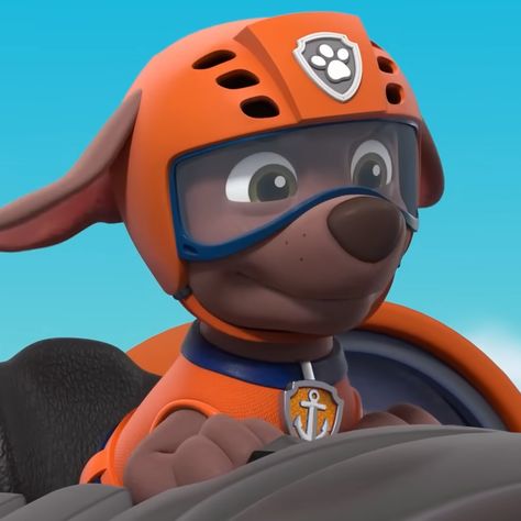 From Paw Patrol 𝐝𝐞𝐬𝐜: zuma pfp. zuma icon. paw patrol pfp. paw patrol icon Paw Patrol Zuma, Zuma Paw Patrol, Psi Patrol, Paw Patrol Pups, Animated Characters, Paw Patrol, Hush Hush, Cute Animals, Animals