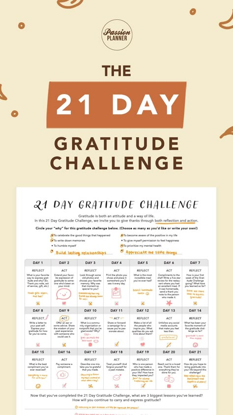 How much difference can three weeks make in your life? Start November right with our FREE 21 Day Gratitude Challenge to practice thankfulness in reflection and action! 🍂 Download it today! However you choose to practice gratitude this month, let it be from the heart. 🧡 Gratitude Challenge, Happiness Journal, Passion Planner, Daily Planner Printable, Attitude Of Gratitude, Practice Gratitude, Personal Goals, Gratitude Journal, Positive Attitude