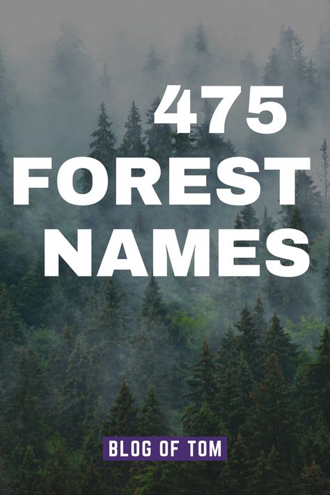 Discover a comprehensive collection of enchanting forest names for your own woodland haven. Uncover an extensive range of names, ranging from eerie and mystical to truly one-of-a-kind. Immerse yourself in our guide, brimming with endless possibilities for naming your forest sanctuary. Mystical Last Names, Forest Name Ideas, Forest Names, Cafe Names Ideas, Scary Names, Creepy Woods, Nature Font, Cottage Names, Forest Essentials