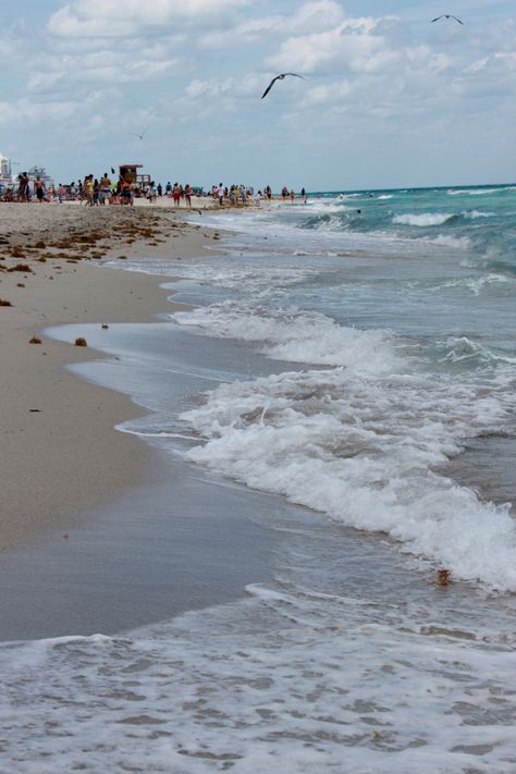 The lovely new symerna beach on floridas east coast. A great place to sit on the shore or enjoy the waves. New Symerna Beach, New Symerna Beach Florida, Florida East Coast, Golden Hour Photos, New Smyrna Beach, Beach Portraits, Beach Aesthetic, Endless Summer, Wedding Weekend