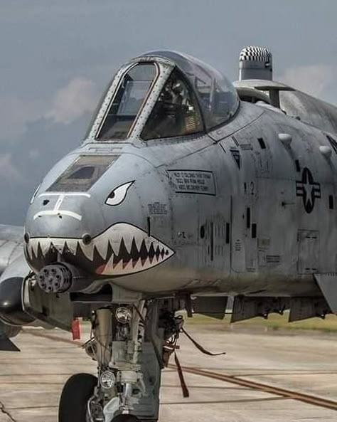 Military Aircraft — Nemesis of tanks -A10 Warthog ! A10 Warthog, Jet Fighter Pilot, A 10 Warthog, F4 Phantom, Close Air Support, Airplane Fighter, Military Hardware, Air Fighter, Guy Stuff