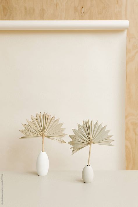 Palm Leaf In Vase, Light Tan Background, Studio Background Ideas, Palm Leaf Decor, Photoshoot Backdrops, Tan Background, Minimalist House Design, Flower Quotes, Studio Background