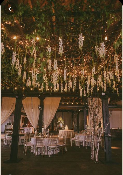 Greenery And Lights Ceiling Wedding, Flowers From The Ceiling Wedding, Vines Hanging From Ceiling Wedding, Hanging Flowers And Lights Wedding, Hanging Flower Decorations Wedding, Flowers On Ceiling Wedding, Overhead Flowers Wedding, Hanging Flowers Dance Floor, Roof Decoration Ideas For Wedding