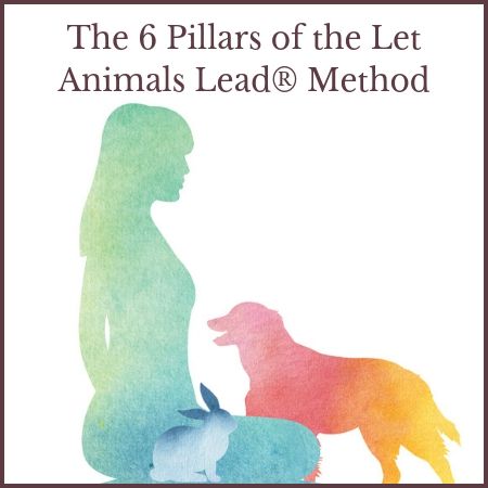 Animal Reiki Healing, Excited Animals, Pet Healing, Meditative Mind, Reiki Principles, Reiki Business, Chakra Chart, Animal Reiki, Learn Reiki