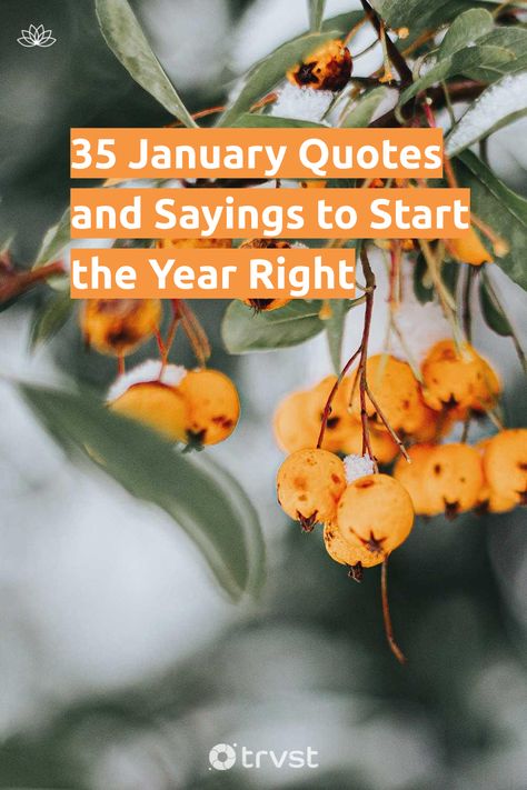 "35 January Quotes and Sayings to Start the Year Right"- In the first month of the year, we are overflowing with hope for what the next 365 days will bring us. We create new year resolutions, set goals, and experience chilly weather. That's why we have prepared the collection of January quotes below that to encapsulate these experiences,... #trvst #quotes #mind&body #weather #hope #goals #create #flooding #health #getoutside #bethechange #winter #begreat First Day Of The Year Quotes, January Quotes Inspirational Motivation, January Quotes Inspirational, January Month, January Quotes, Quotes Mind, New Year Resolutions, New Years Resolutions, Motivational Quotes Wallpaper