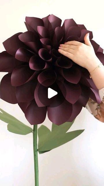 J S Gupta | Giant Dahlia

🌸🌺🌻🌹🌷🌼💐

Hey you all... How are you? Sharing again a small tutorial to create Giant Dahlia flowers. So, what are you waiting... | Instagram Giant Dahlia, Trending Crafts, Dahlia Flowers, Dahlia Flower, Hey You, Small Gift, Flower Making, Diy Flowers, Dahlia