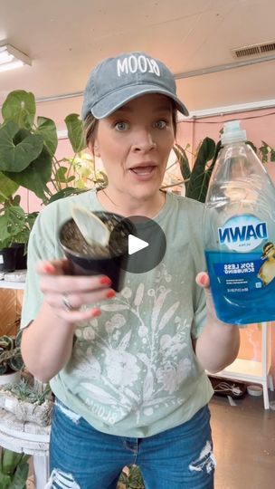 166K views · 5.5K reactions | Hydrophobic soil and how to fix it! Letting the plant soak in a bowl of water also helps! | Plants In A Farmhouse Hydrophobic Soil, Veg Garden, The Plant, Gardening Ideas, A Bowl, Fix It, Soil, Farmhouse, Bowl