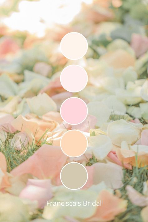 Soft peach and grey wedding color ideas. Sage Green And Coral Wedding, Peach And Grey Wedding, Peach And Cream Wedding, Peach Wedding Decorations, Light Gray Wedding, Peach Wedding Colors, Gray Wedding Colors, Color Melon, Wedding Invitations Leaves