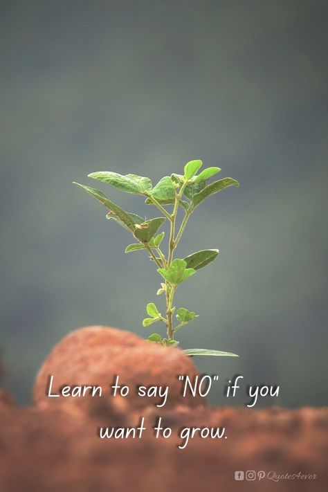 Learn To Say No Quotes, Say No, Self Inspirational Quotes, Growth Quotes, Learning To Say No, Quote Life, Short Quotes, Wise Quotes, Meaningful Quotes