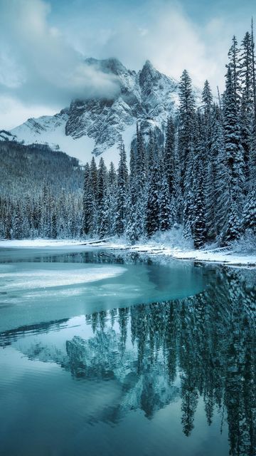 Mark | Travel + Adventure on Instagram: "Early winter reflections in the Canadian Rockies ❄️ #canada #amongthewild #stayandwander #roamtheplanet #canadianrockies #banff #takemoreadventures #banffcanada #discoverearth #earthoutdoors #wildernessculture #travel #hellofrom" Winter In Banff Canada, Canadian Scenery, Canadian Mountie, Banff Road Trip Canadian Rockies, Banff Canada, Canadian Winter, Early Winter, Snow Trip, Canadian Rockies