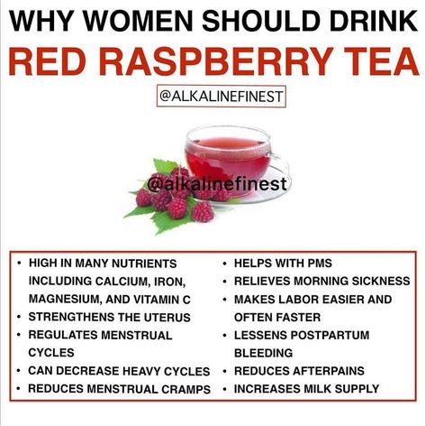 Repost from @alkalinefinest using @RepostRegramApp - Red raspberry leaf back in stock clink link in bio🔝🔥 Red raspberry leaves are high in… Rasberry Leaf Tea, Red Raspberry Tea, Red Raspberry Leaf Tea, Raspberry Leaves, Raspberry Leaf Tea, Red Raspberry Leaf, Raspberry Leaf, Raspberry Tea, Increase Milk Supply