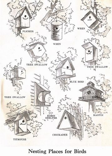 4/28/06 Vintage Freebie 5 | From my personal collection of e… | Flickr Bird House Plans Free, Homemade Bird Houses, Bird Houses Ideas Diy, Bird House Feeder, Bird House Plans, Unique Bird Houses, Bird House Kits, Birdhouse Designs, Bird Houses Diy