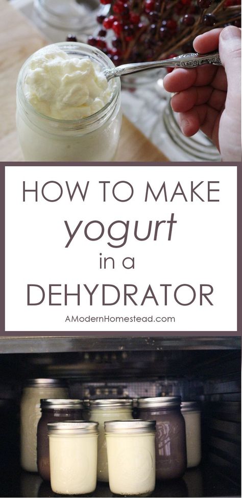 With all the yogurt making methods out there, making it in a dehydrator is by far the easiest! Find out exactly how to make yogurt in a dehydrator with these simple steps. Homemade Yogurt Recipes, Dehydrating Food, Dehydrated Foods, Dry Herbs, Veggie Chips, Food Dehydrator, Sweet Potato Chips, Homemade Yogurt, Dehydrated Food