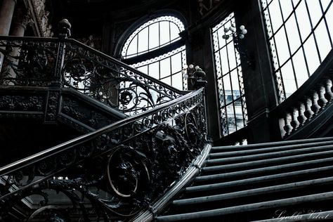 Rabastan Lestrange, Palace Interior, Yennefer Of Vengerberg, Victorian Aesthetic, Between Two Worlds, Royal Aesthetic, Bellatrix Lestrange, Stair Case, By Any Means Necessary