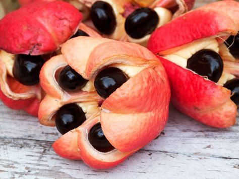 From exotic delicacies to seemingly everyday edibles, these weird food items might look tempting, but proceed with caution—they could actually kill you. Ackee Fruit, Rare Fruits, Giant Vegetable, Weird Fruit, Jamaica Food, Fruits Plants, Strange Fruit, Fruit Fresh, Fruits Photos