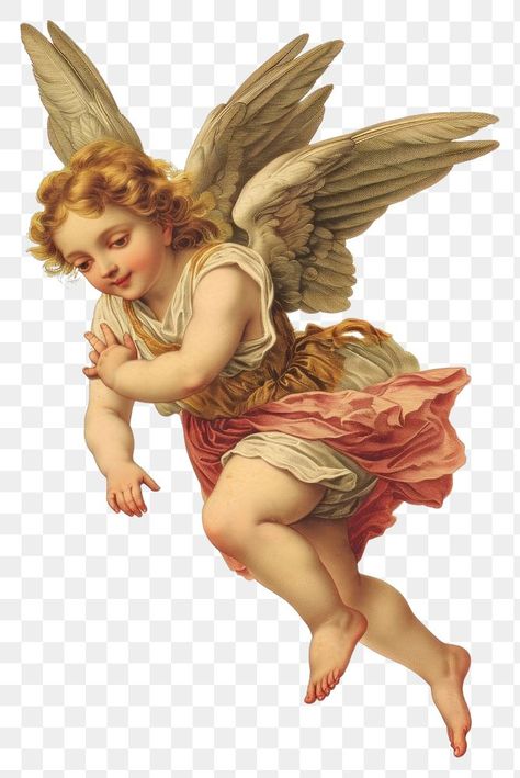 Adult Aesthetic, 천사와 악마, Angel Png, Angel Wings Png, Cherub Art, Female Angel, Angel Flying, Cherub Tattoo, Wings Png