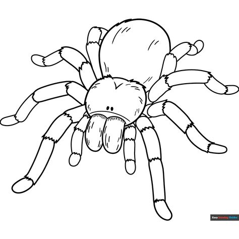 Free Tarantula Coloring Page for Kids Tarantula Drawing, Spider Printable, Scary Coloring Pages, Monkey Coloring Pages, Spider Coloring Page, Free Printable Coloring Sheets, Printable Coloring Sheets, Drawing Tutorial Easy, Coloring Tutorial