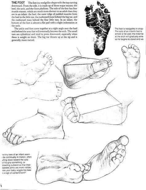 Feet Drawing, Sculpting Tutorials, Anatomy Sketches, Baby Drawing, Anatomy Drawing, Art Instructions, Baby Art, Drawing Lessons