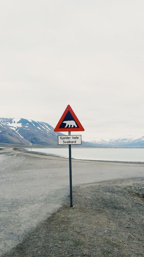 #Svalbard #Norway #longyearbyen #spitsbergen #mountains #arctic #emptiness #polarbear #sign #wilderness #travel | jottkah | VSCO Svalbard Norway Aesthetic, Scandinavian Aesthetic Wallpaper, Svalbard Aesthetic, Norway Svalbard, Longyearbyen Svalbard, Norway Wallpaper, Norway Aesthetic, Nordic Travel, Svalbard Norway