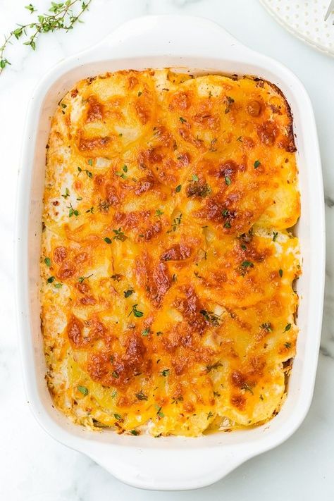 A delicious Scalloped Potato Gratin recipe made with thinly sliced Yukon gold potatoes layered with cheese and a light buttery sauce. #scallopedpotatoes #potato #skinnytaste #holidayrecipe #sidedish #thanksgiving #christmas Easy Cheesy Potatoes, Bacon Potato Casserole, Potato Gratin Recipe, Scalloped Potato, Cheesy Potato Casserole, Gold Potatoes, Oven Roasted Turkey, Potatoes Au Gratin, Homemade Gravy