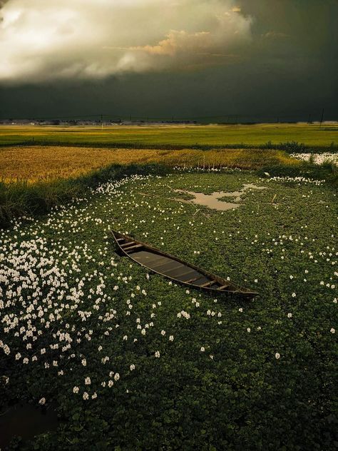 Balikhora Haor,Kishorganj, Bangladesh Bangladesh Travel, Beautiful Bangladesh, Bengali Culture, Mood Vibes, Storm Photography, Village Girl, Floral Wallpaper Phone, Historical Places, Wide World