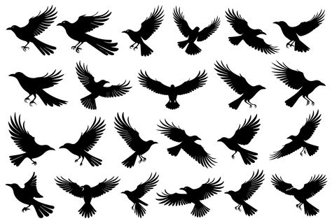 Flying Crow Drawing, Crow Outline, Crow Flying Drawing, Raven Flying Drawing, Flying Crows, Crows Circling, Crow Vector, Crow Clipart, Crow Flying Silhouette