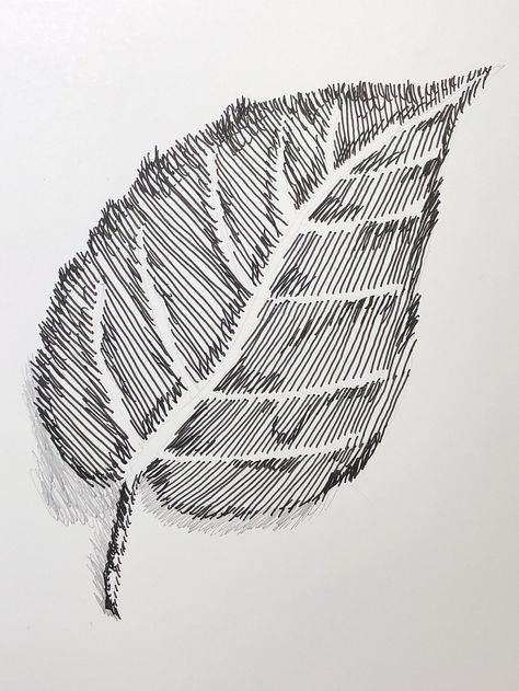 By Tresha Barger - This artwork uses a series of straight, diagonal, and parallel lines to form the image of a leaf. Diagonal Lines Art Design, Straight Line Drawing, Value Drawing, Different Lines, Diagonal Line, Line Artwork, Parallel Lines, Line Art Design, Drawing Images