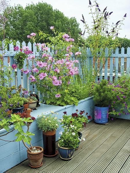 Small garden decking ideas: 11 clever ways to stretch your space | Real Homes Small Garden Decking Ideas, Tiny Garden Ideas, Small Flower Gardens, Sloped Garden, Garden Design Plans, Garden Types, Small Space Gardening, Deck Garden, Olive Garden