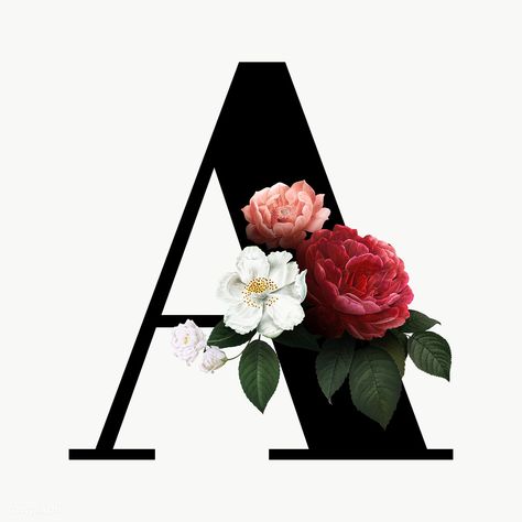 F Floral Letter, H Floral Letter, A Letter Image, Colour Alphabet Letters, Letter A Font Design, Letter A Design Flower, Alphabet Images Design, Alphabet Letters Design Beautiful, A Alphabet Design